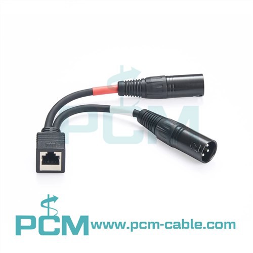 Axia millistykki Kapall Dual XLR Male Til RJ45 Female