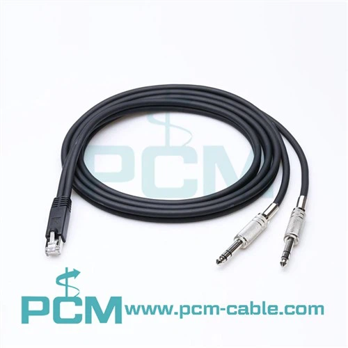Axia Adapter Dual 1/4 TRS Til RJ45 Male